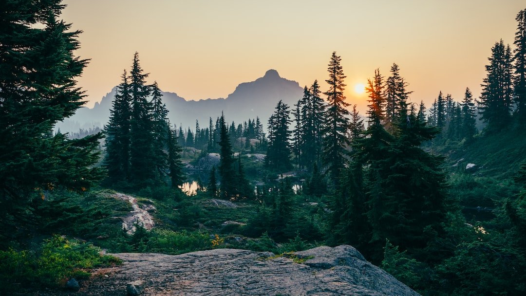 Earth’s climate is changing. We are too. - moreyboogie